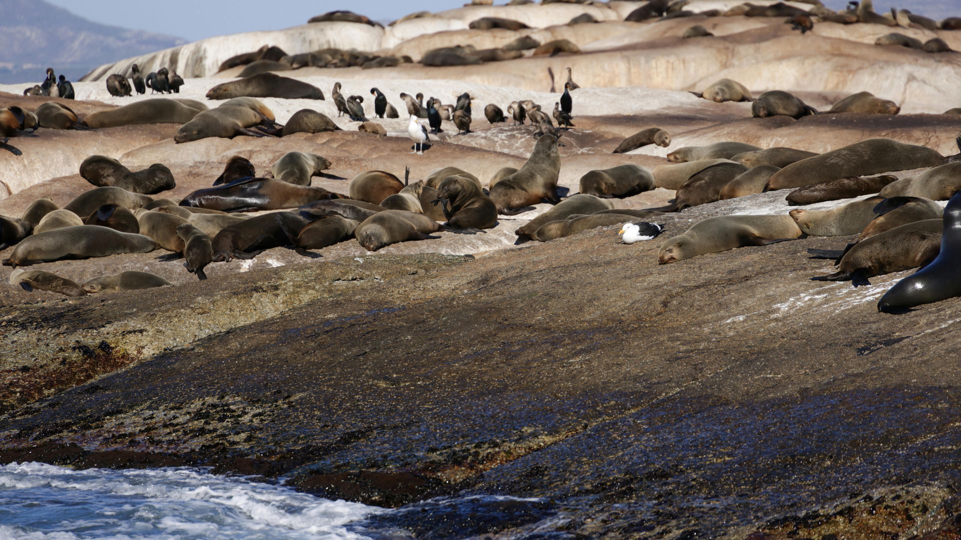 safari Holidays to Skeleton Coast