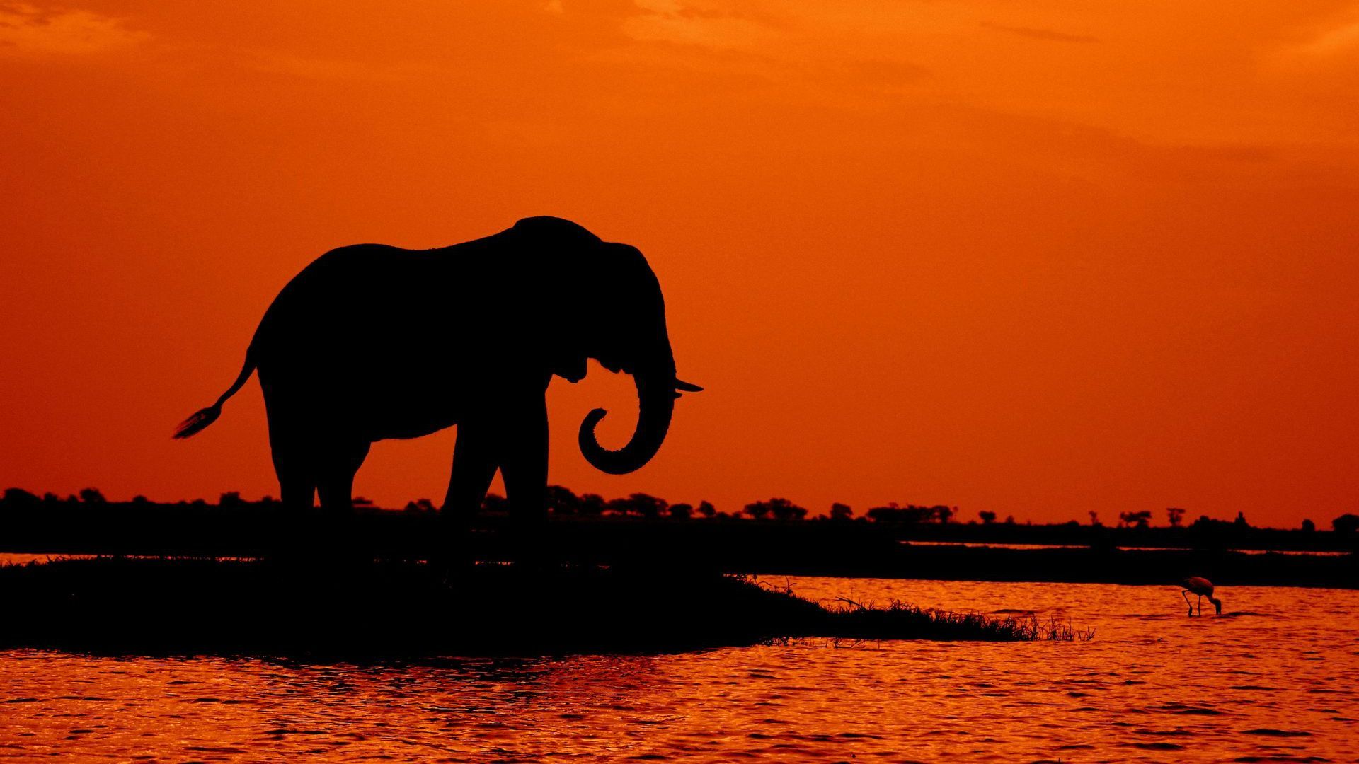 Chobe National Park