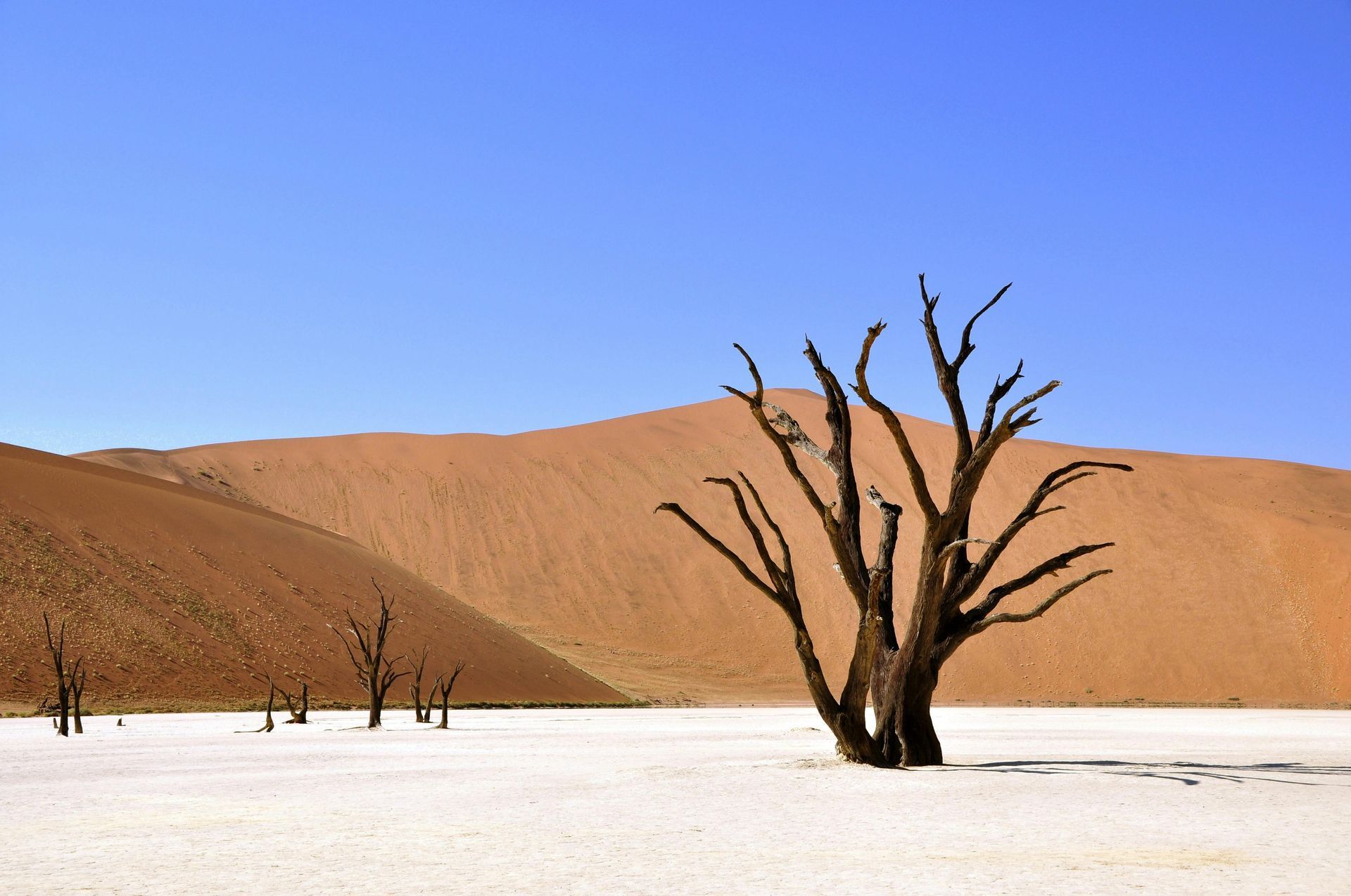 Safari Holidays to Namib-Naukluft & Sossusvlei