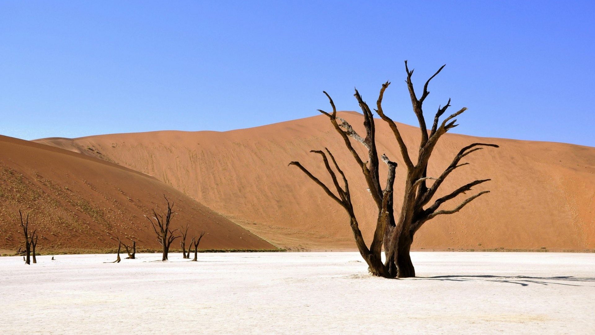 Namibia