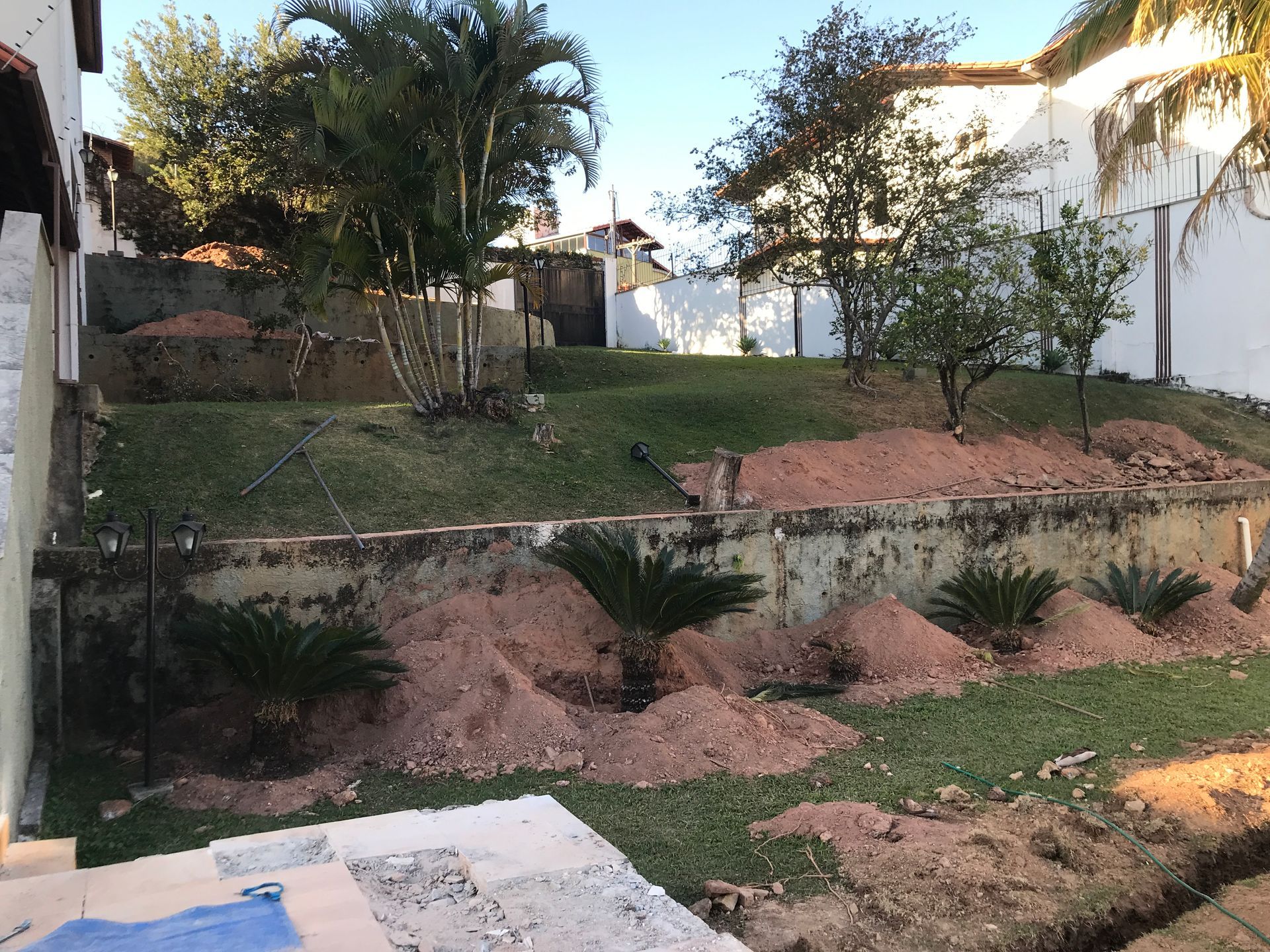 Um quintal com muita terra e árvores