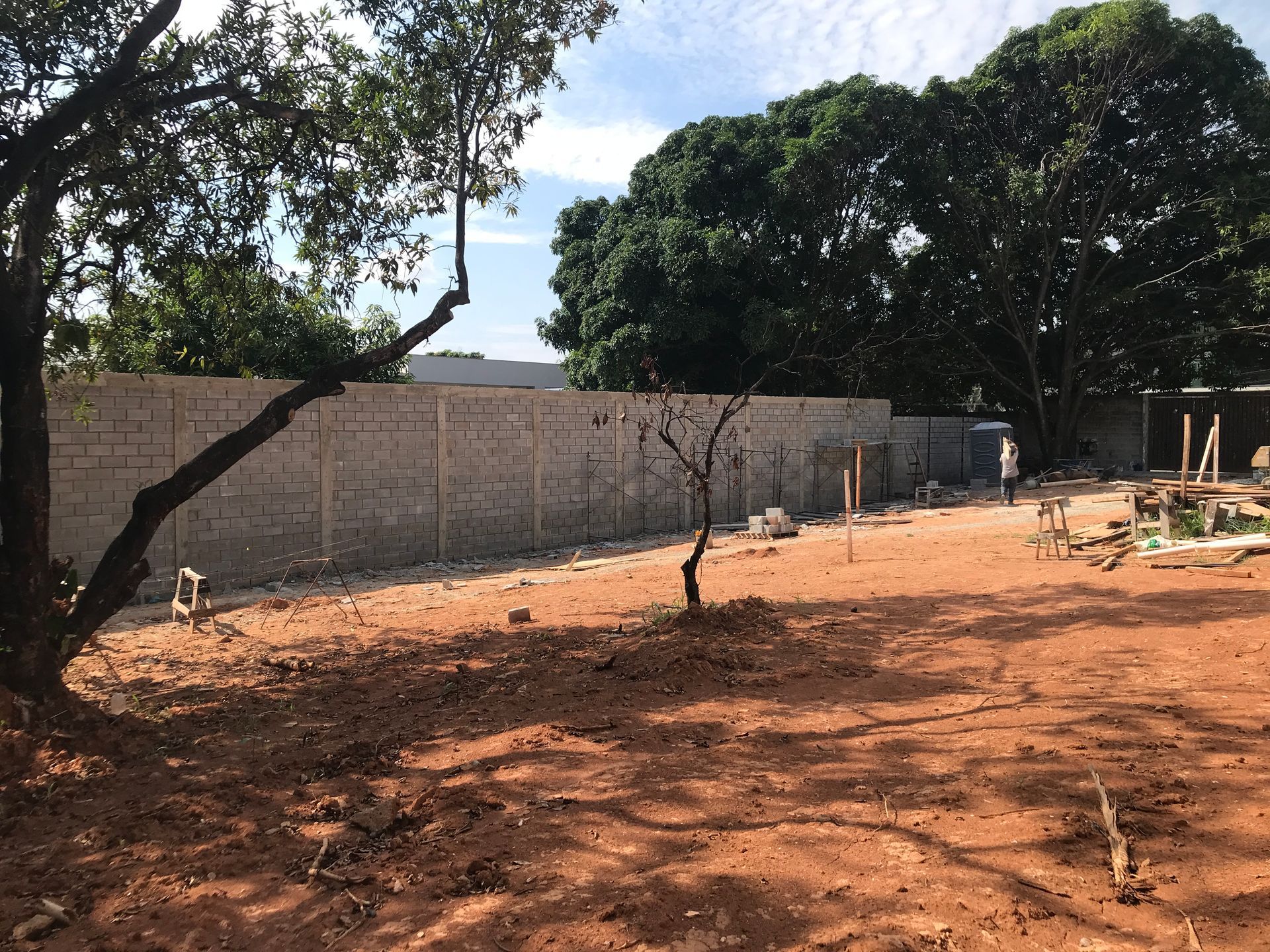 Uma árvore está no meio de um campo de terra em frente a um muro de tijolos.