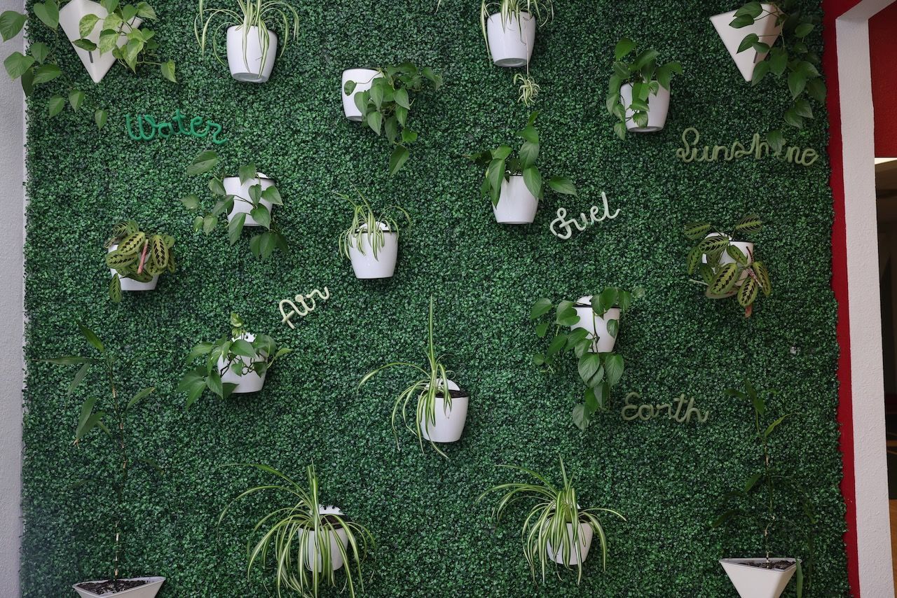 A wall with lots of potted plants hanging from it.