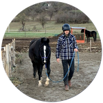 Lezione di lavoro da terra con il cavallo La Libertà del cuore