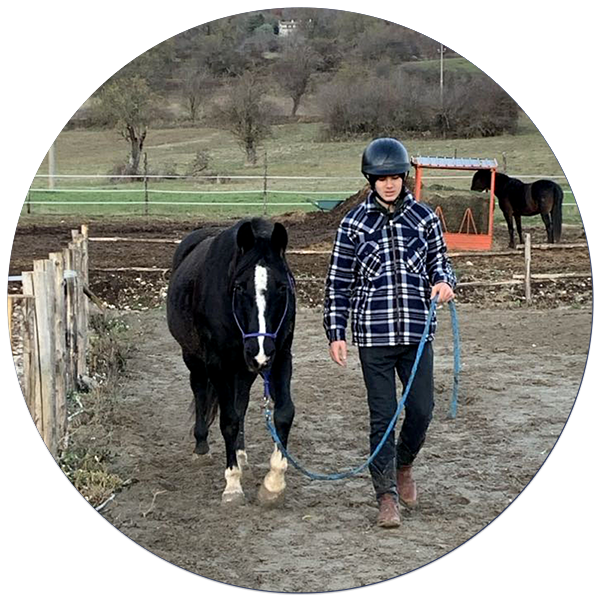 Lezione di lavoro da terra con il cavallo La Libertà del cuore