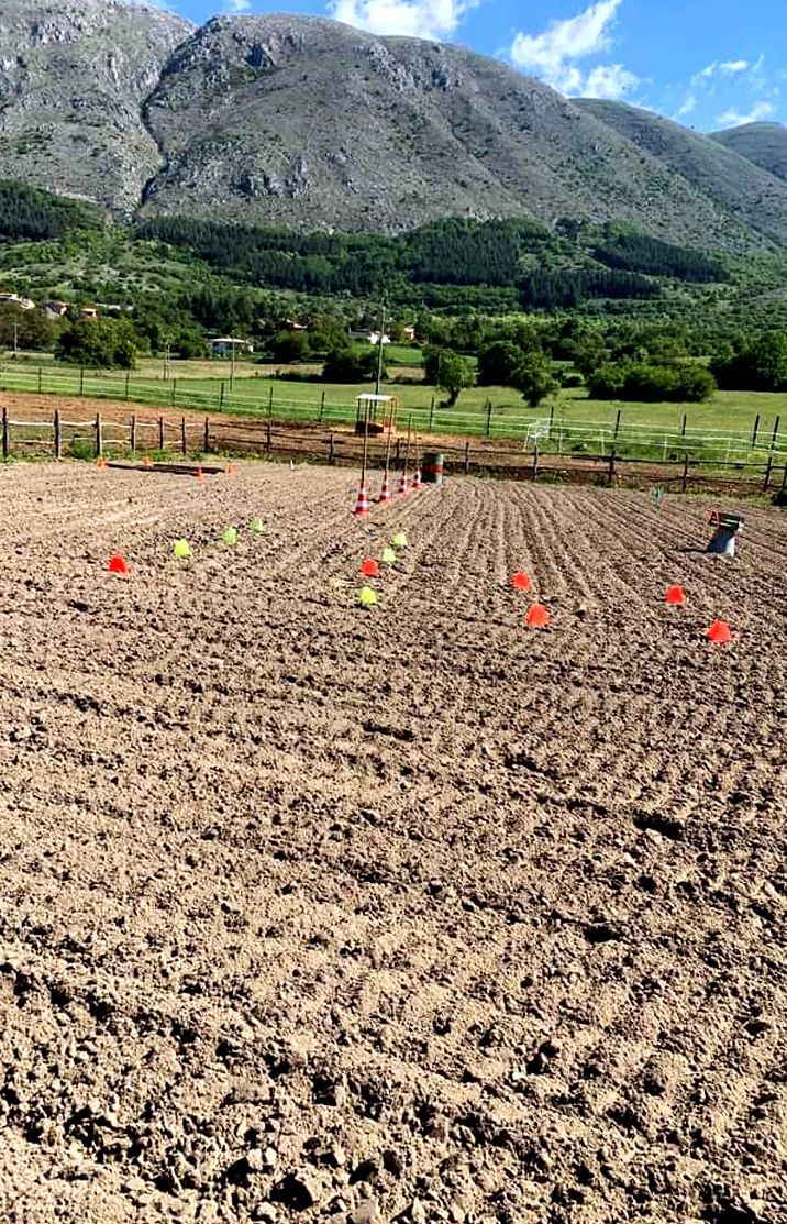 centro equi emozionale  presso forme di massa d'albe La Libertà del cuore