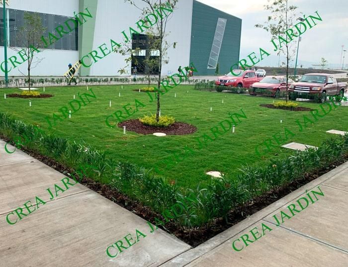 CREA JARDÍN