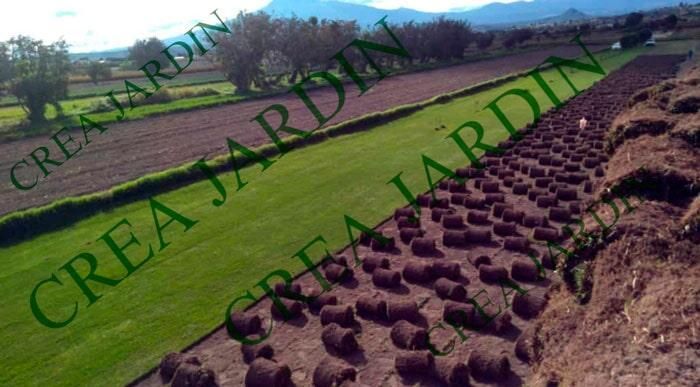 CREA JARDÍN