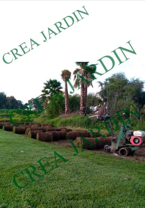CREA JARDÍN