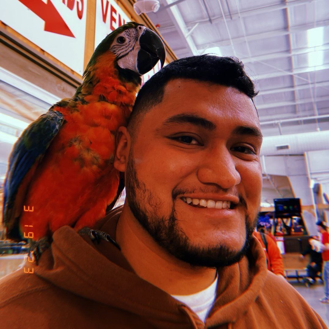 Juan and Denali (Shop Pet)