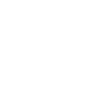 Safety Cameras  Icon