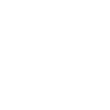 Smartphone Connection  Icon