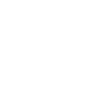 Vehicle security  Icon