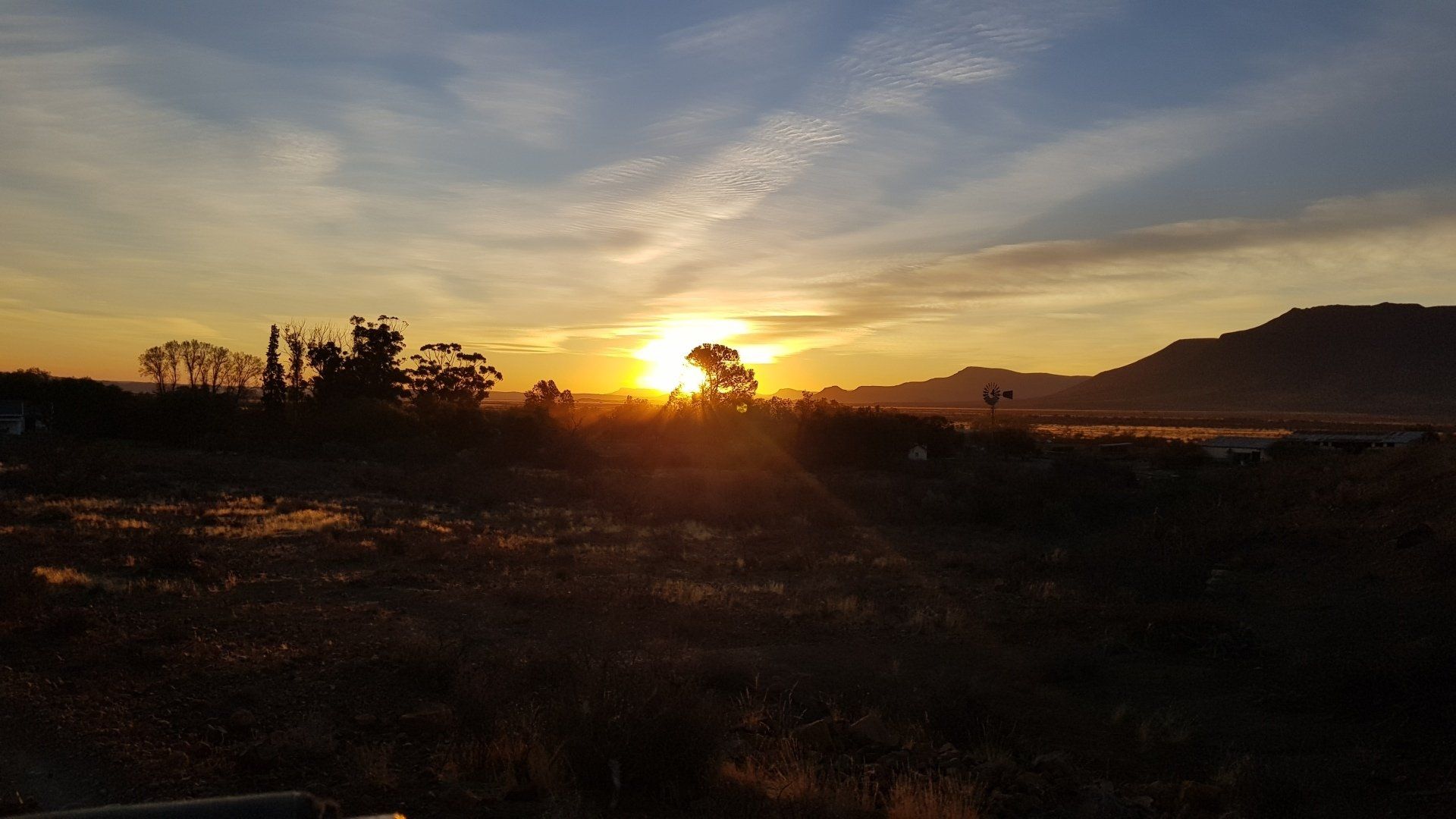 The sun is setting over a field with trees in the foreground.