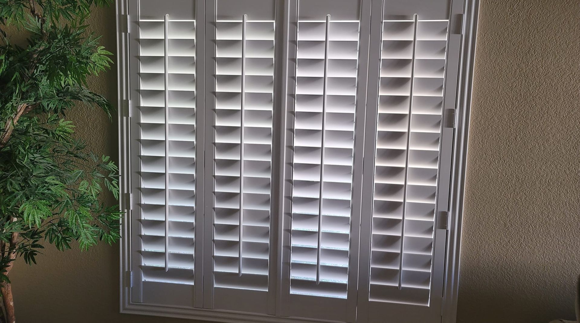 A row of shutters on a window with a tree in the background