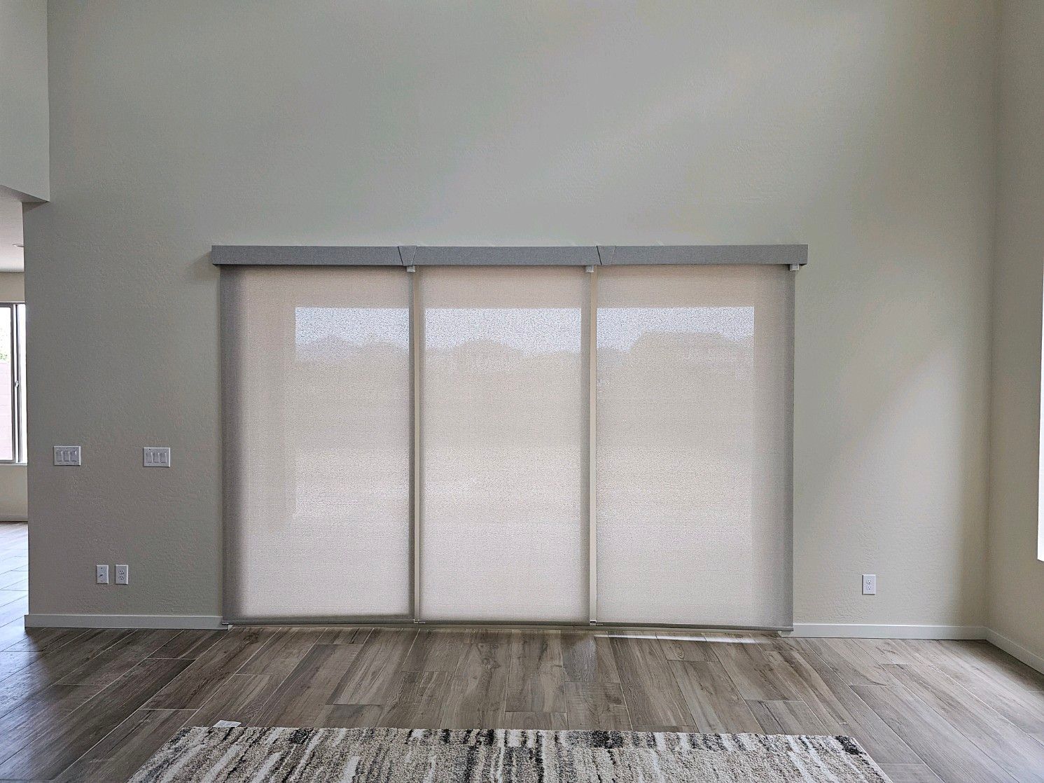 Living room with light-colored walls, wood floor, and panel blinds covering a window, a rug on the floor.