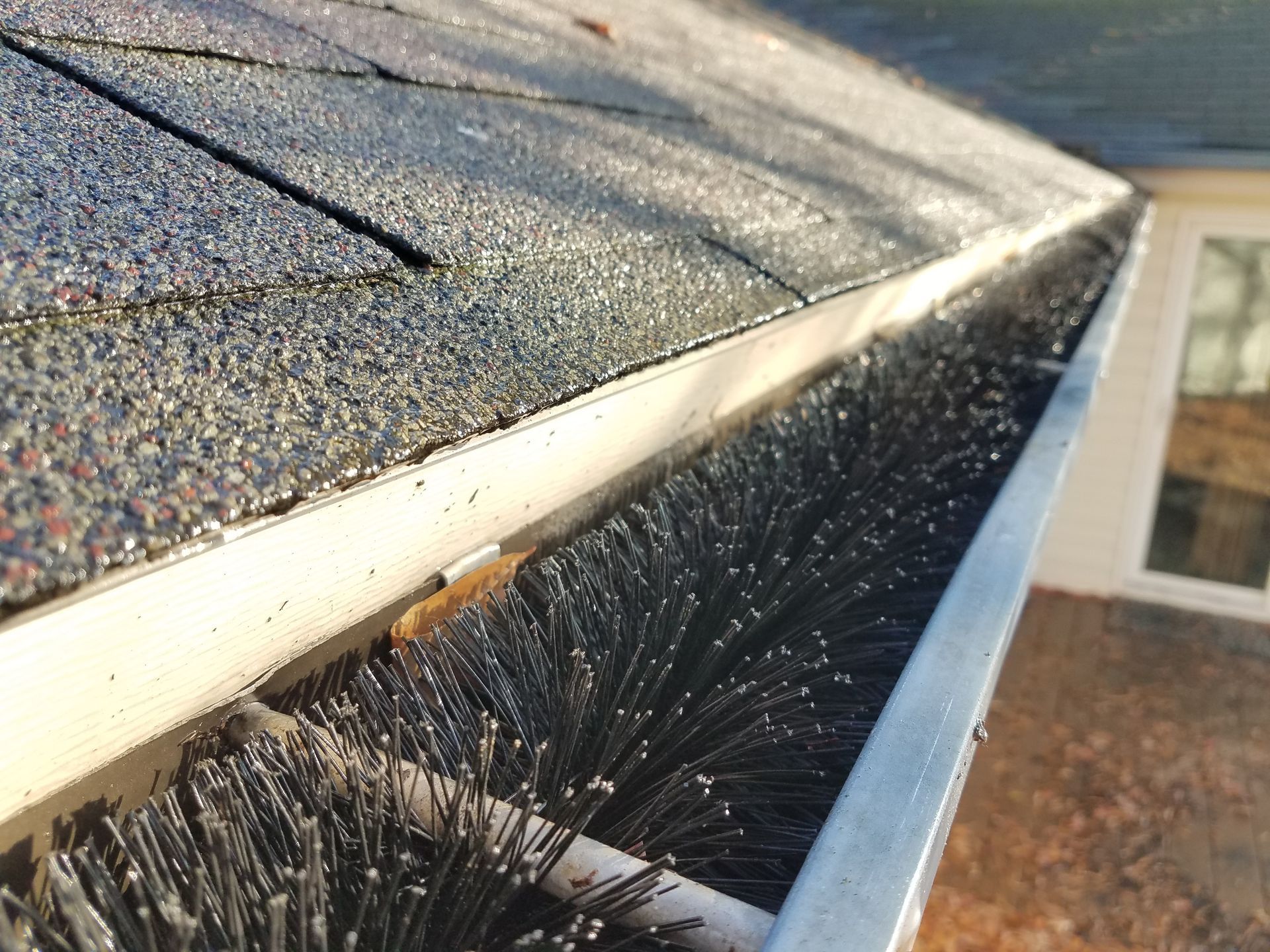 Brush inserts in gutter