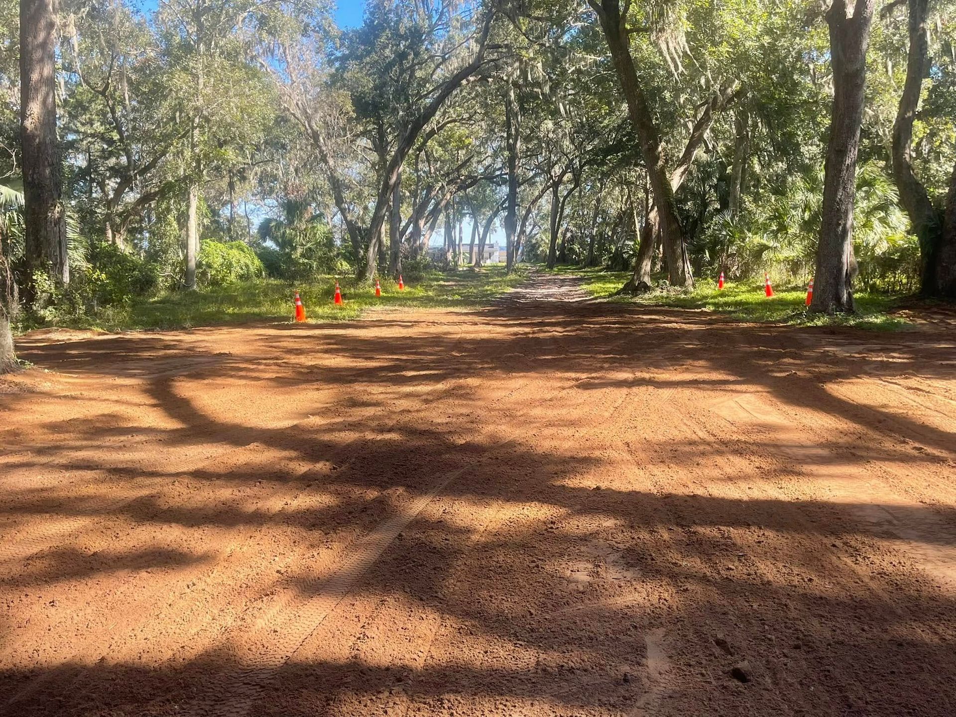 A dirt road in the middle of a forest with trees in the background.