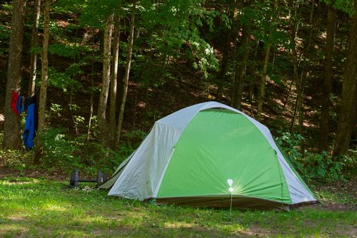 A green and white tent is sitting in the middle of a forest.