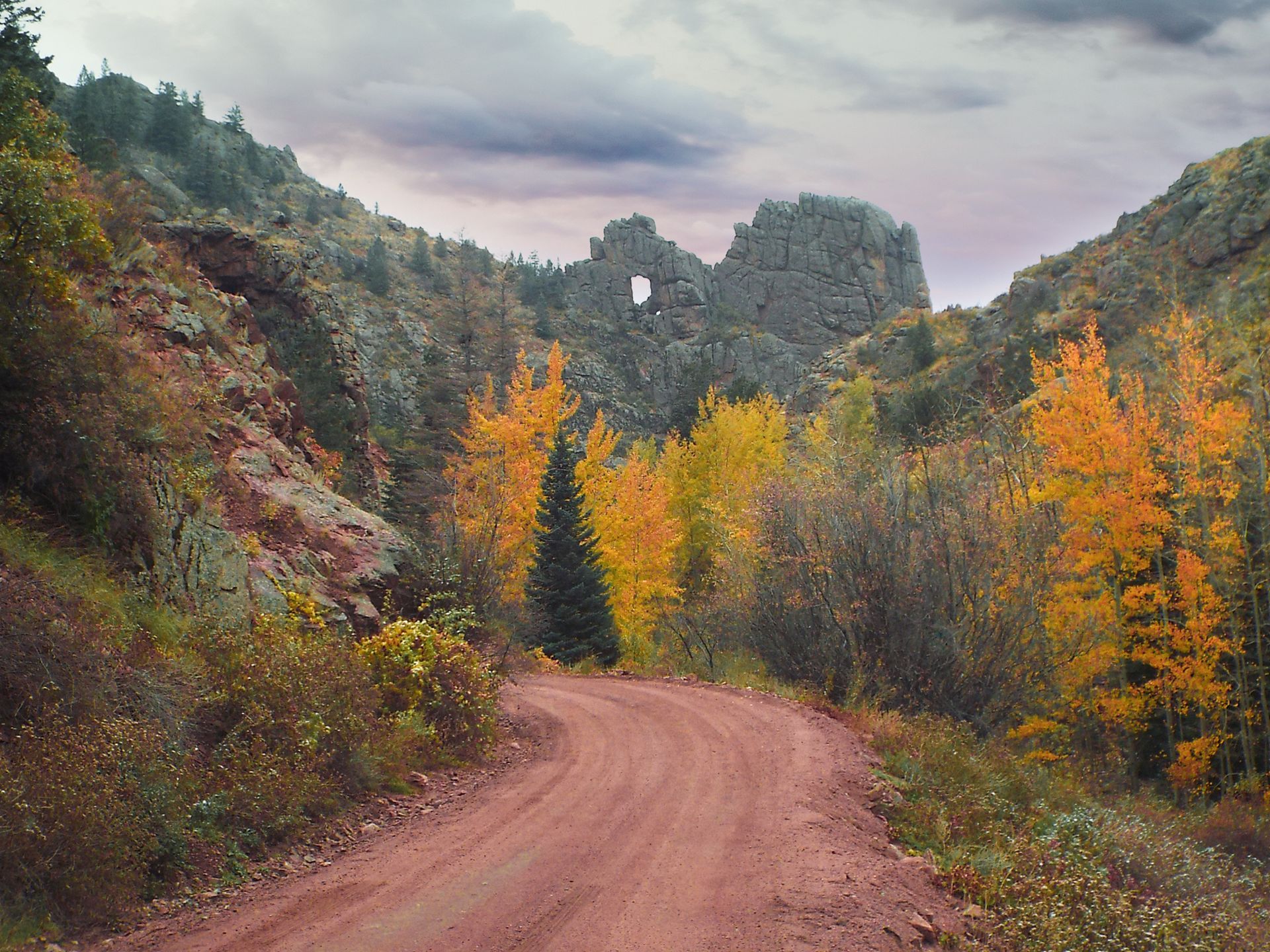 A dirt road in the mountains with trees on both sides