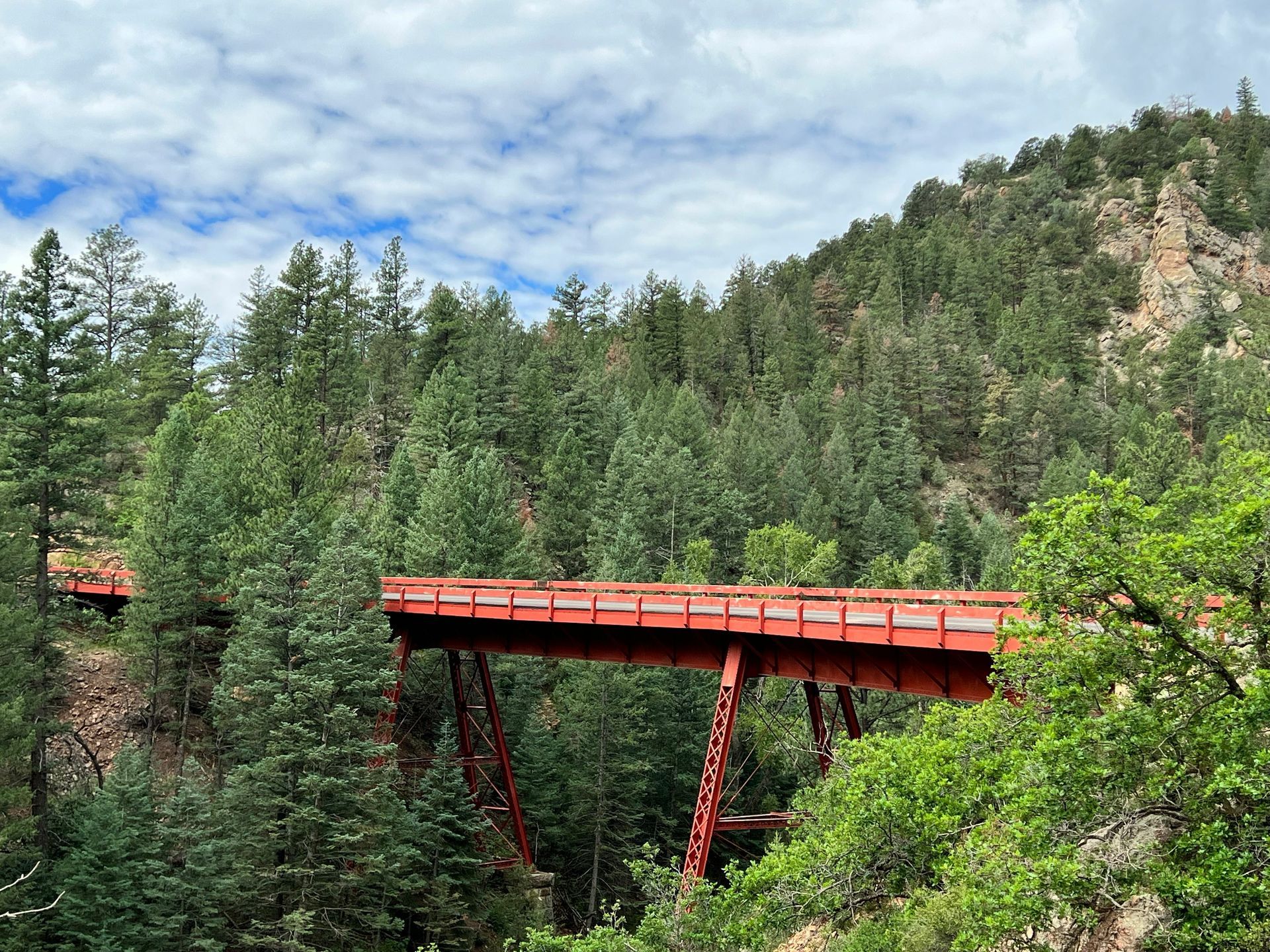 A red bridge over a river in the middle of a forest.