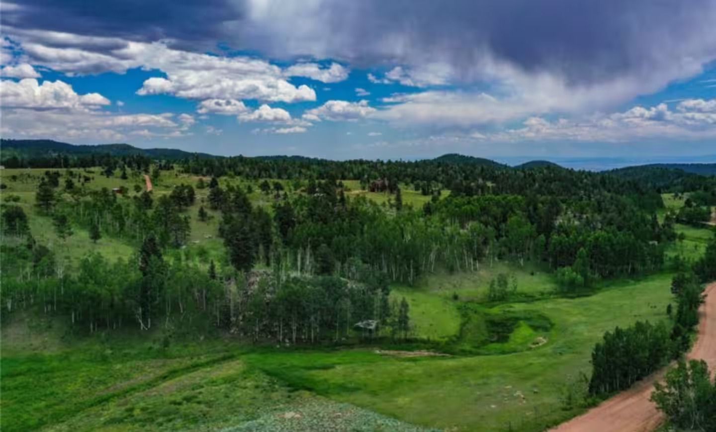 An aerial view of a lush green field with trees and a dirt road.