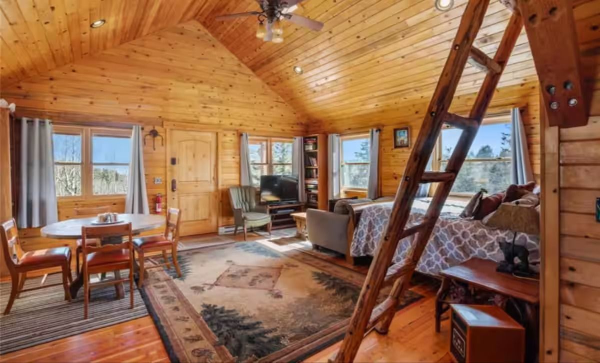 A living room in a log cabin with a ladder leading to the second floor.