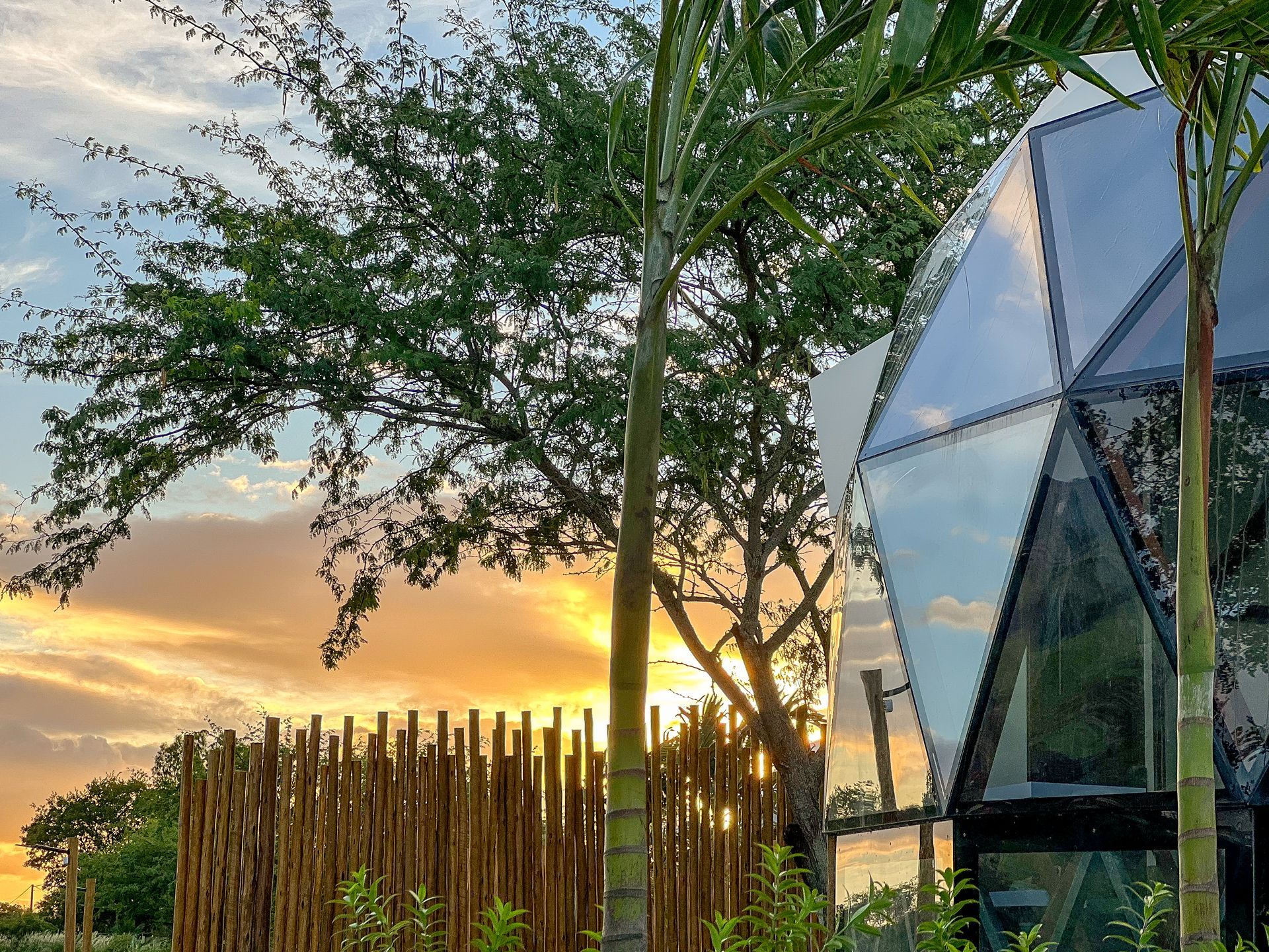 Edifício moderno de vidro ao lado de palmeiras e uma cerca de madeira ao pôr do sol