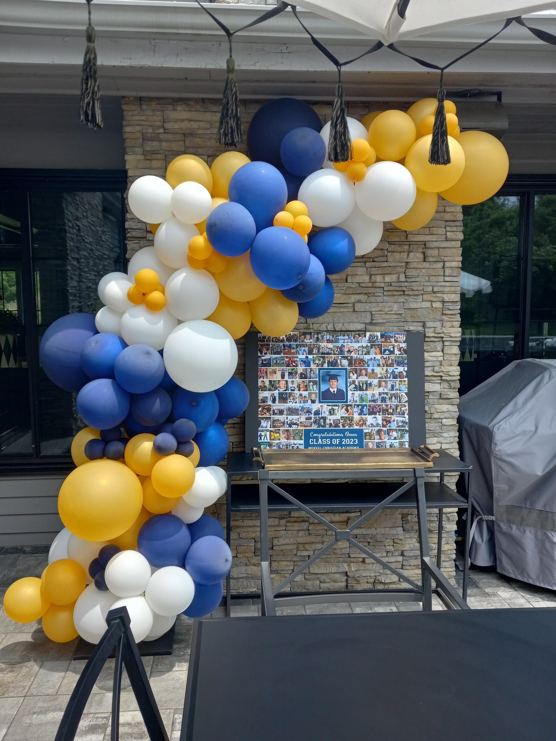 Balloon Arches, Columns and Theme Decor