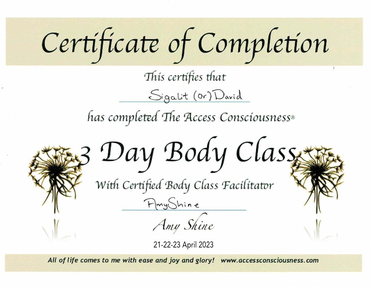 תעודת הסמכה - סיגלית דויד, פסיכותרפיה וטיפול גוף נפש