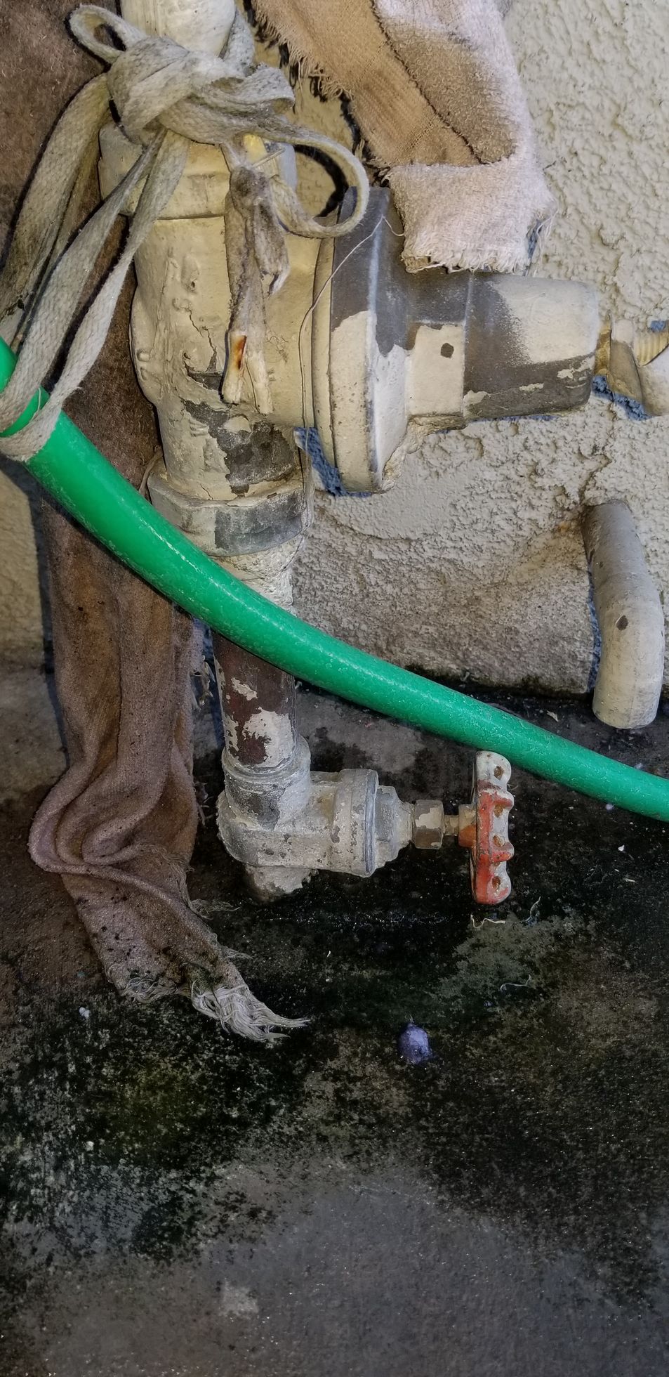 Green hose and plumbing fixtures against a cement wall.