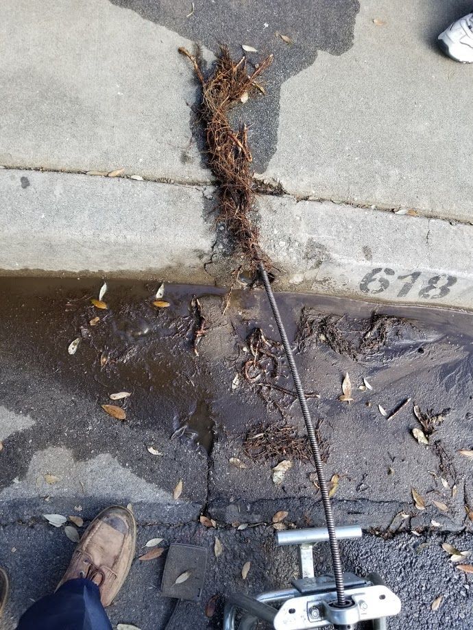 Roots clogging a crack in the concrete curb. A cable is being used to remove the roots.