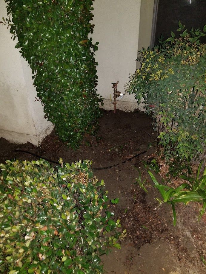 Green shrubs and bushes surround a patch of dirt with a copper pipe against a white wall.
