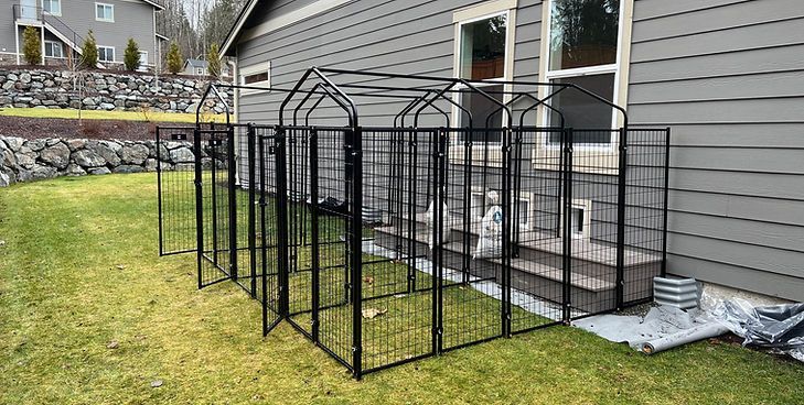 A large, black metal kennel enclosure set up in a backyard against the side of a grey house.