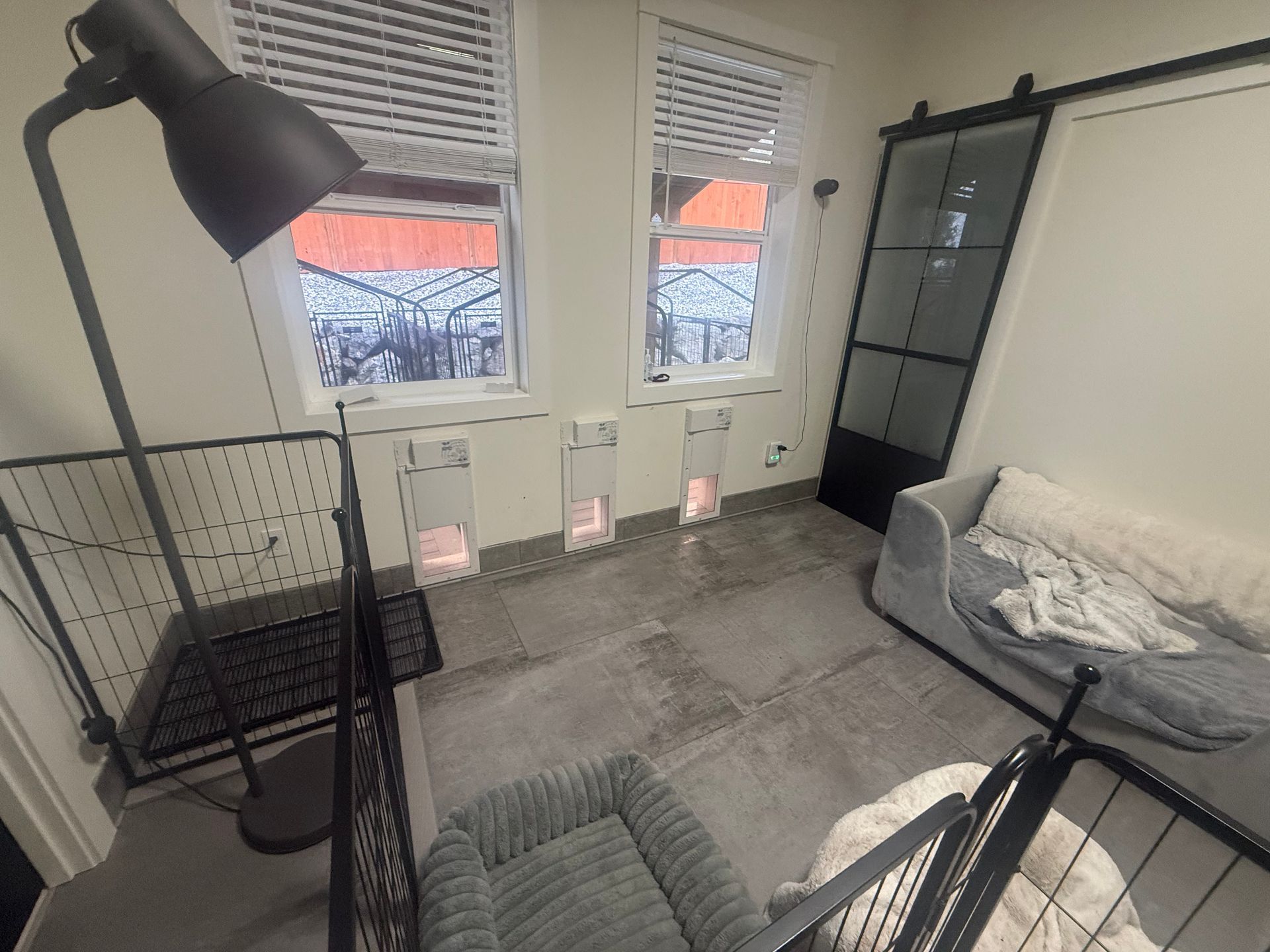 A room with tiled floors, two windows with cat doors, a floor lamp, two pet beds, and a black sliding glass door.