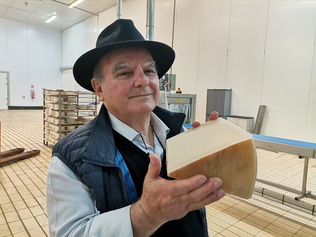 formaggio pecorino romano DOP
