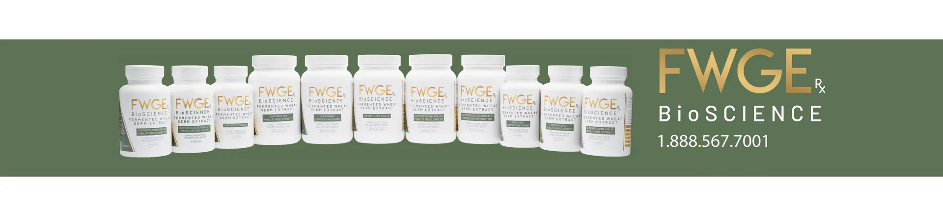 Everybody Benefits from FWGE BioScience Fermented Wheat Germ Extract Super Concentrate