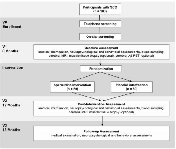 Effects of spermidine supplementation on cognition and biomarkers in older adults with subjective cognitive decline (SmartAge)—study protocol for a randomized controlled trial