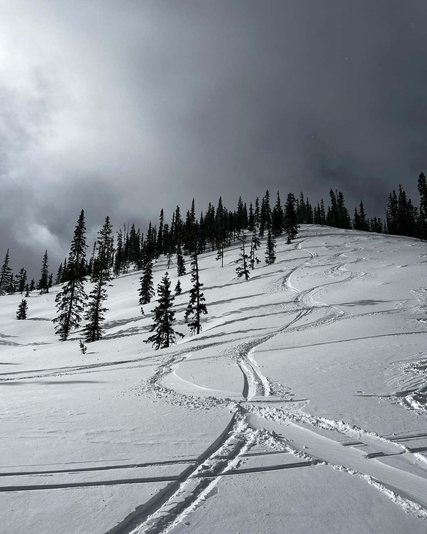 Monarch Mountain, CO, Makes 19 Powder Alliance Resorts For 18/19