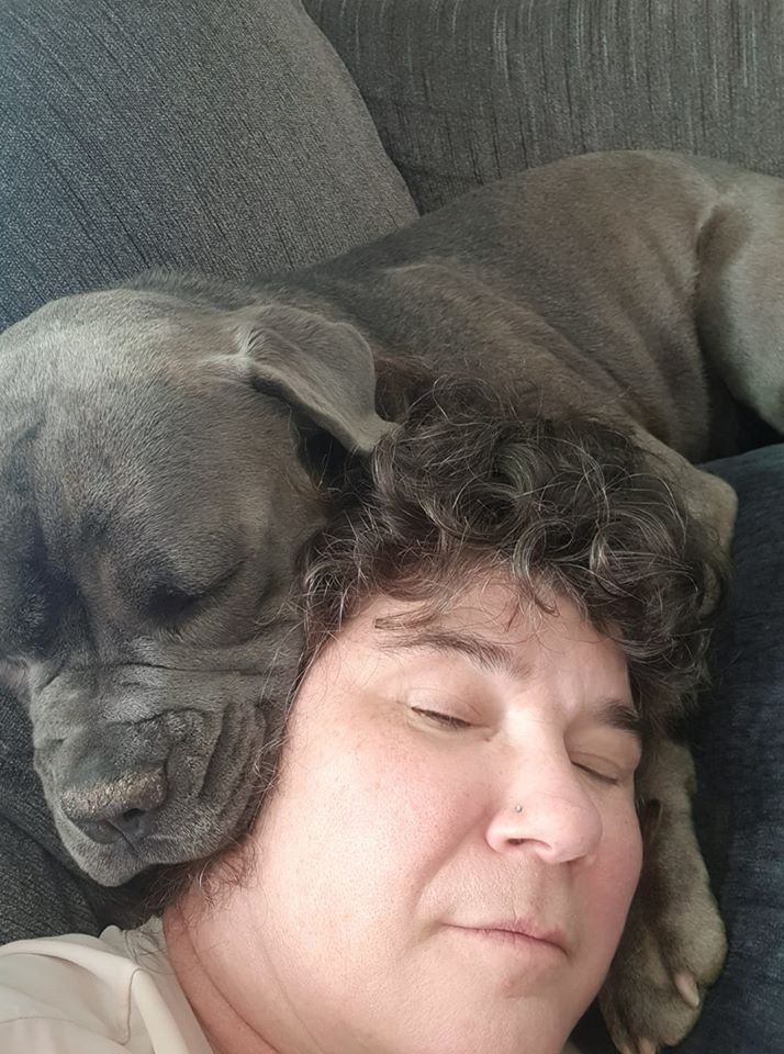 A woman is laying on a couch with a dog on her head.