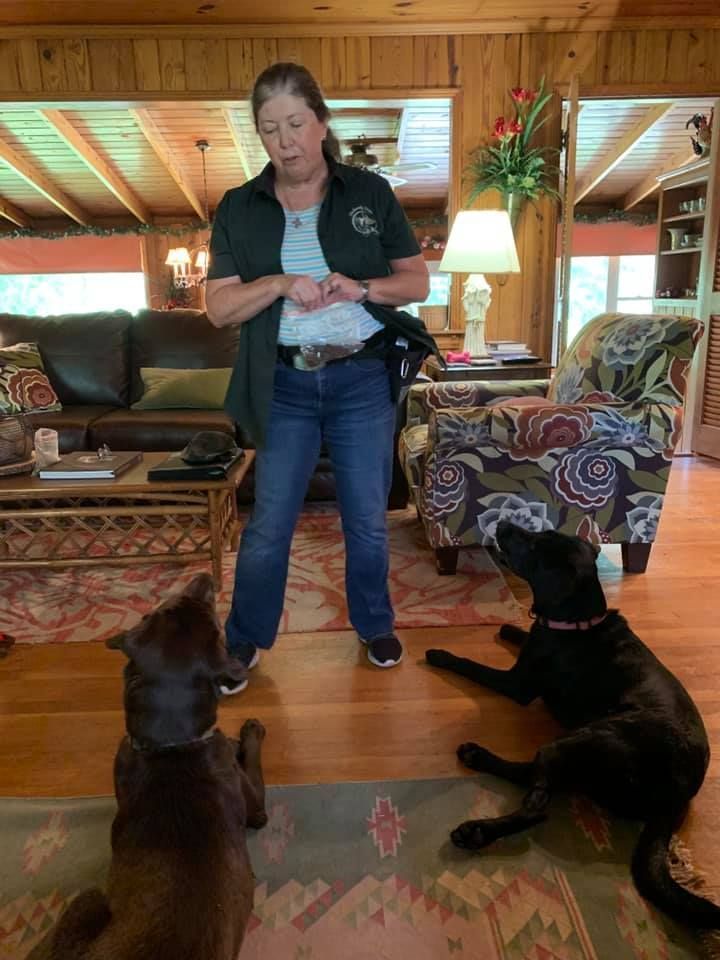 A Woman Standing In A Living Room With Two Black Dogs