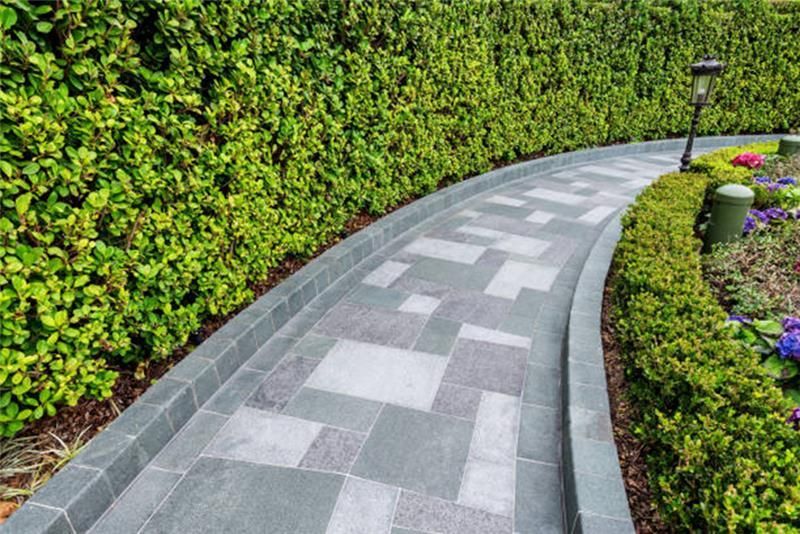 Stone path curves through a garden, bordered by hedges.