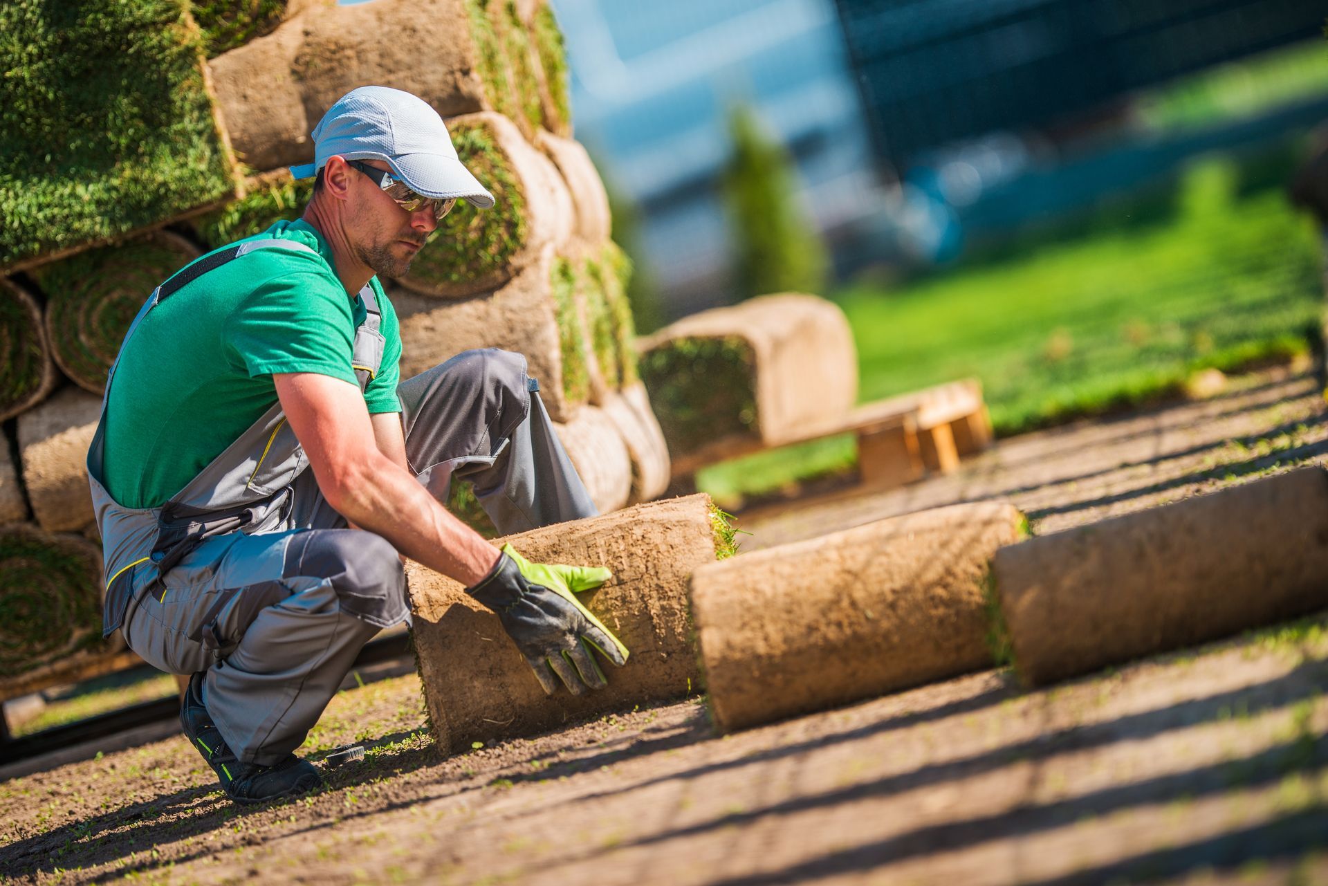 Caucasian Turf Grass Installer