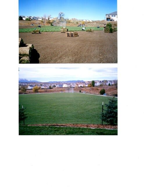 Before and After - Sod Installation in Colorado Springs, CO