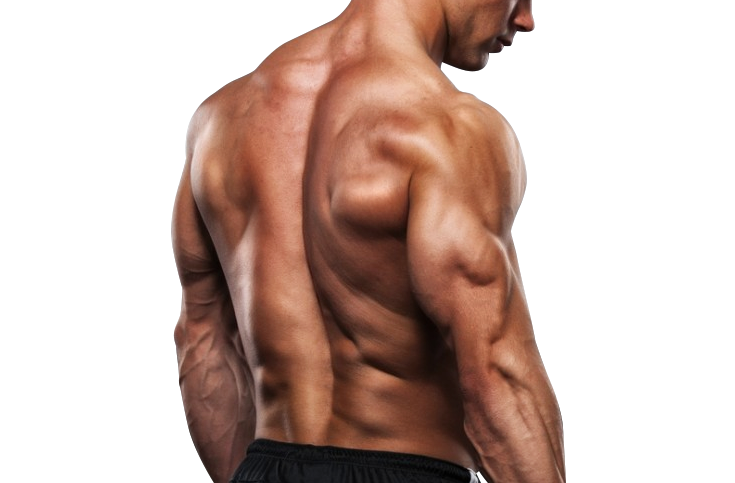 HGH Therapy is used with Testosterone for Men