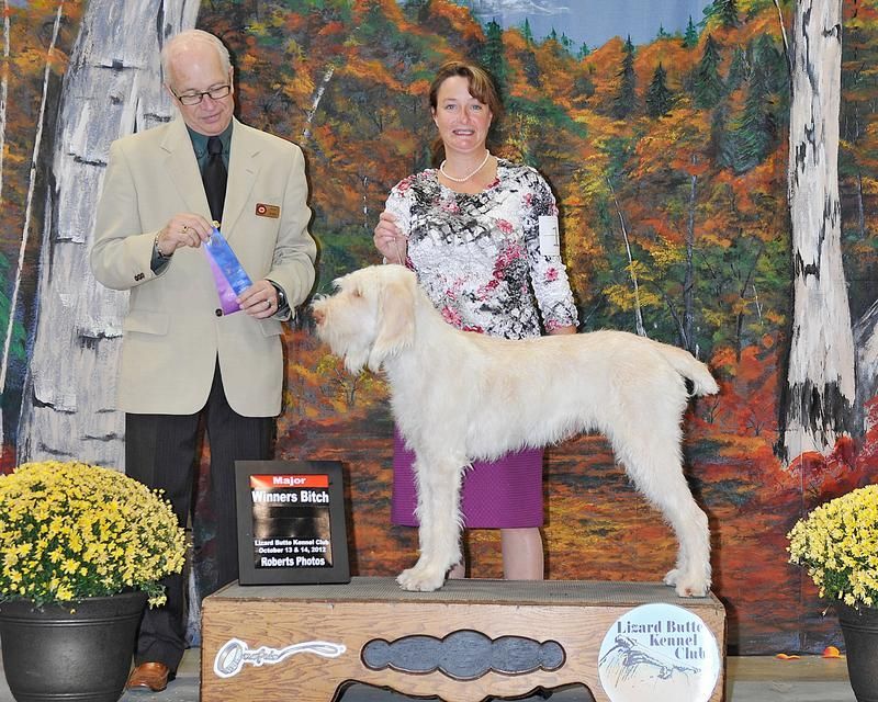 A man and woman standing next to a small white dog