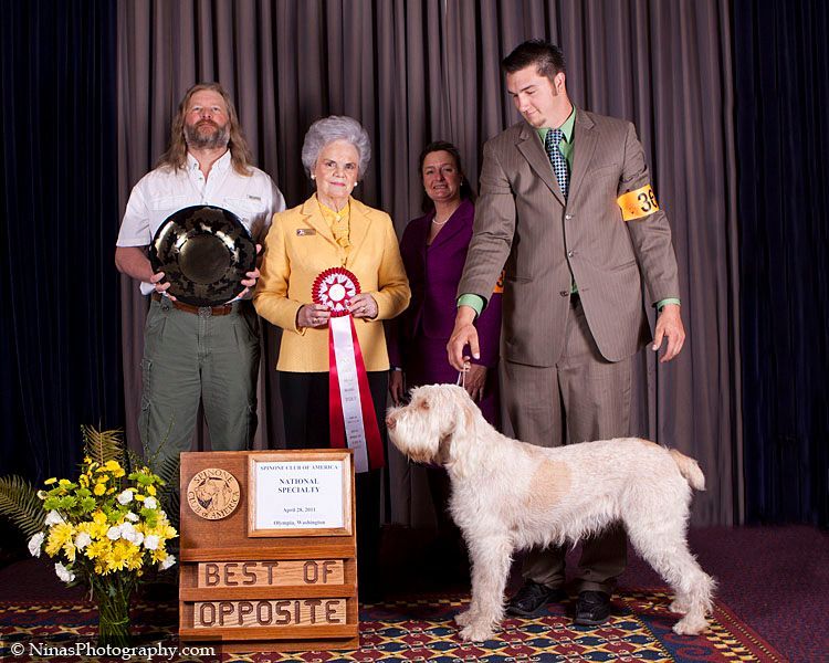 A dog is standing in front of a sign that says best of opposite