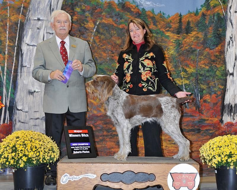A man and woman standing next to a brown and white dog
