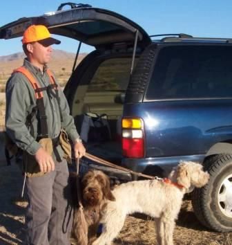 A man and two dogs are standing in front of a blue suv