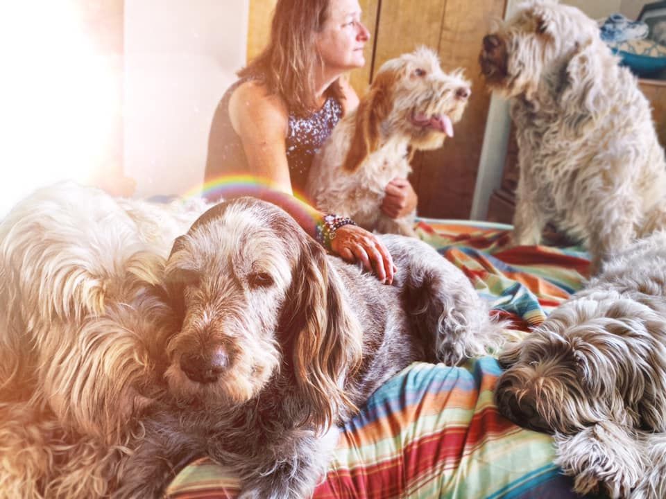 A woman is sitting on a bed with three dogs.